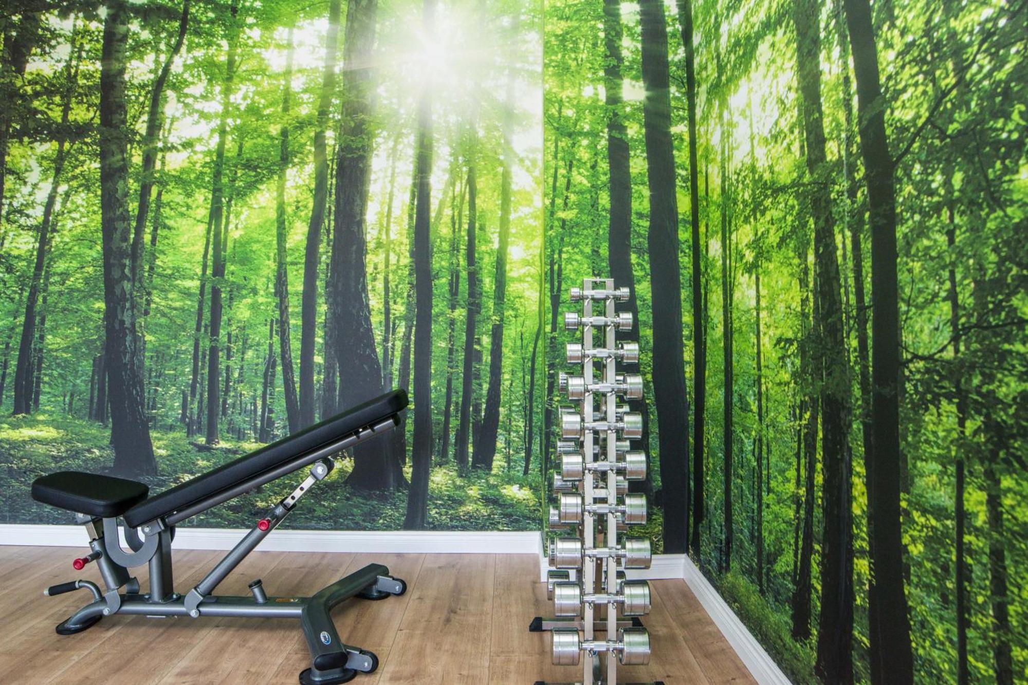 Pod Brzozami Apartamenty Gea Eco Sianozety Dış mekan fotoğraf